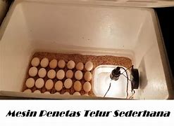 Mesin Tetas Telur Ayam Sederhana